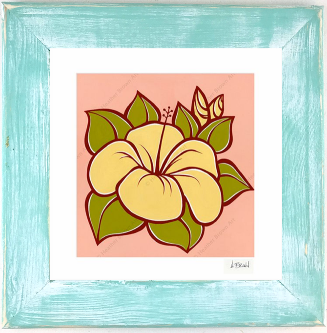 Hibiscus