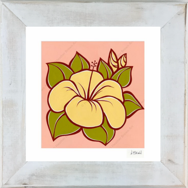 Hibiscus