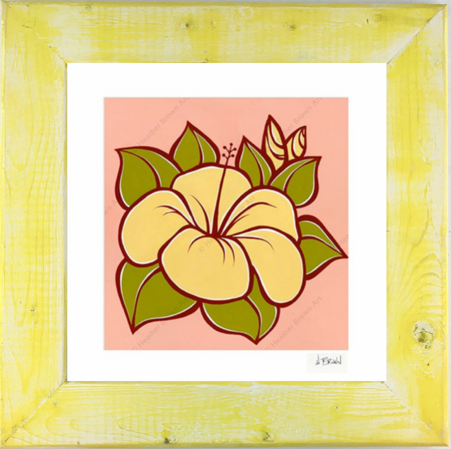 Hibiscus