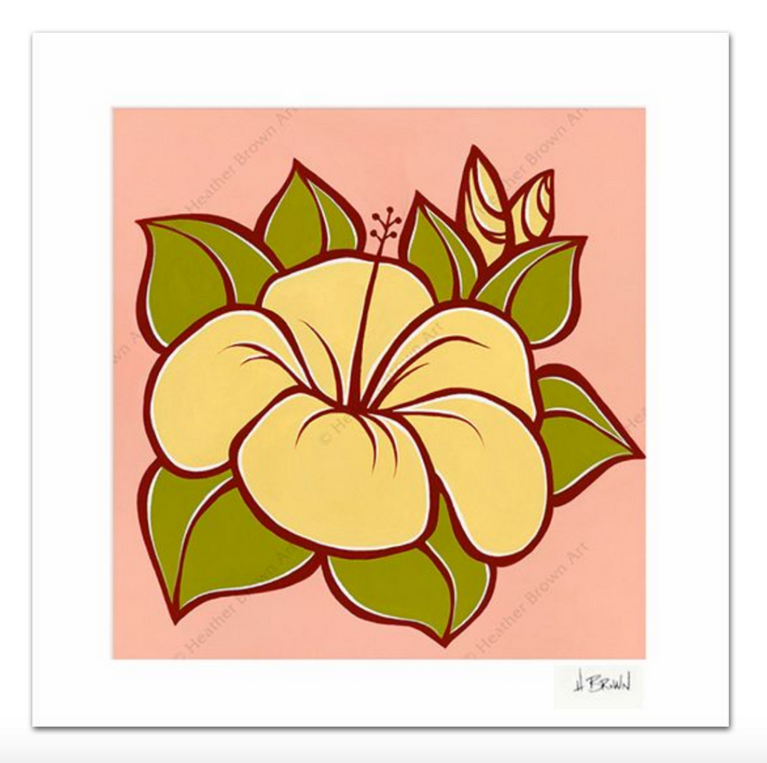 Hibiscus