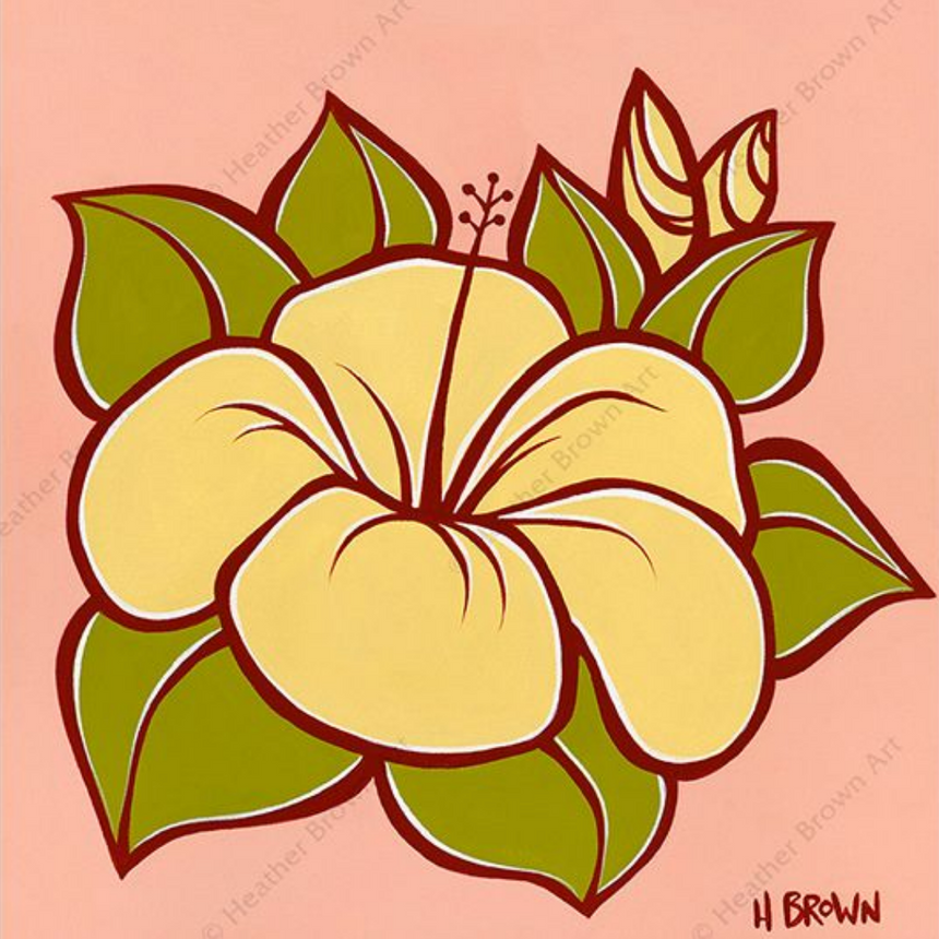 Hibiscus