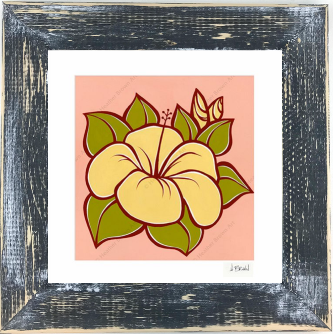 Hibiscus