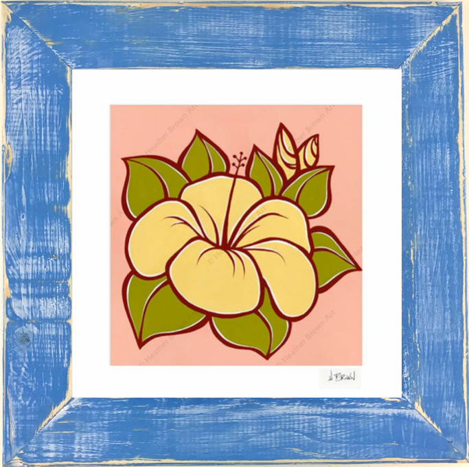 Hibiscus