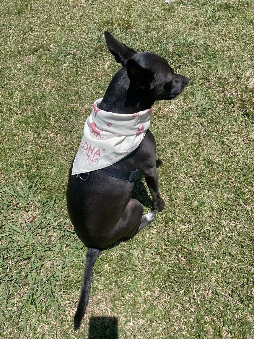 BANDANA - Aloha makes my Day