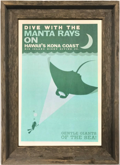 Kona Manta Rays