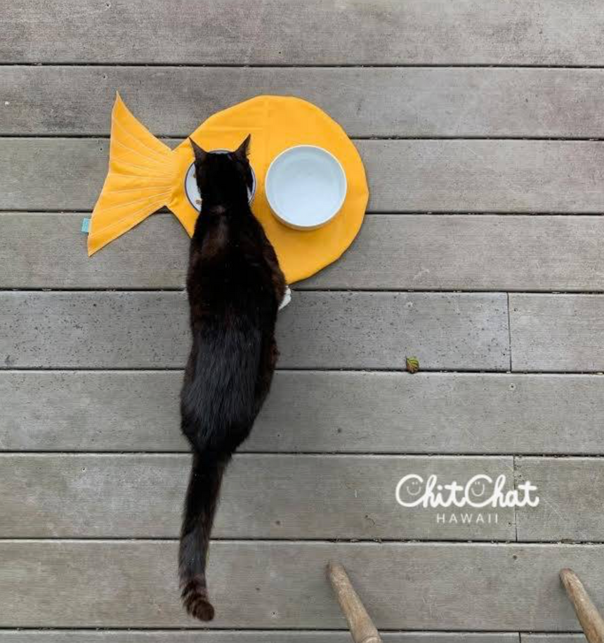 Feeding Mat