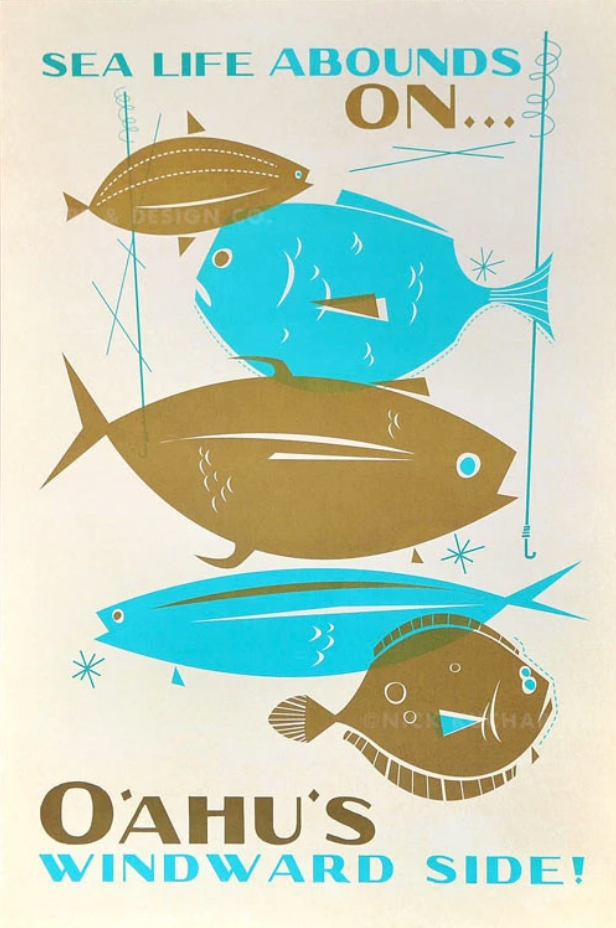 Sea Life Abounds