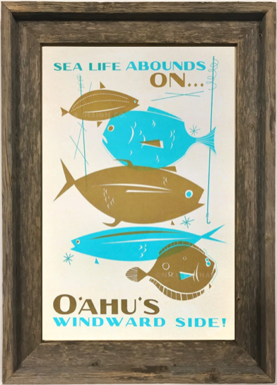 Sea Life Abounds