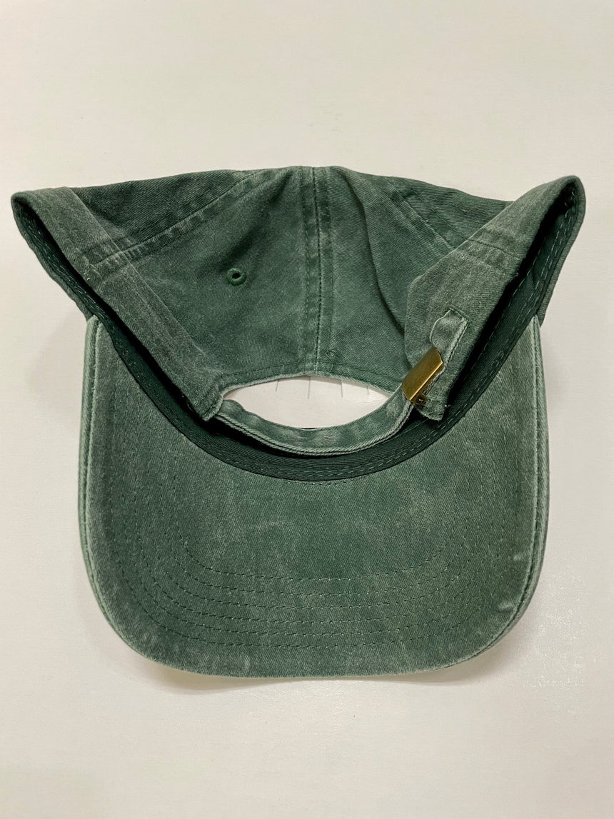 Everyday Aloha Denim Cap Green