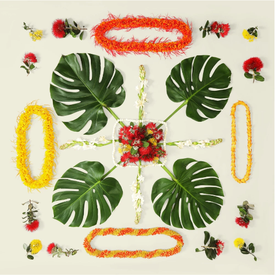 Lola Pilar Hawaii ローラピラー アートプリント「ハワイ諸島」 Lola Pilar Hawaii(ローラピラーハワイ)通販 | GREENROOM GALLERY