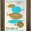 Sea Life Abounds